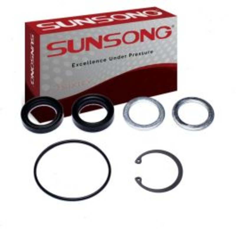 Sunsong Steering Gear Pitman Shaft Seal Kit for 1961-1979 Buick Skylark 6.6L 7.5L V8