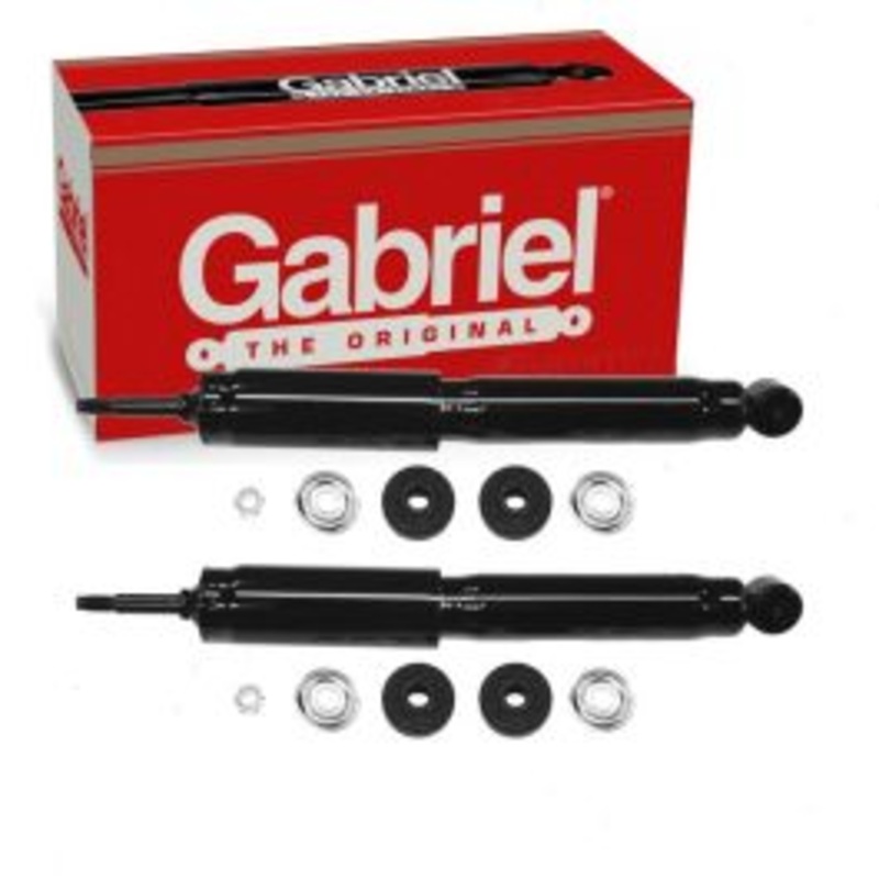 2 pc Gabriel ProGuard 61613 Shock Absorbers