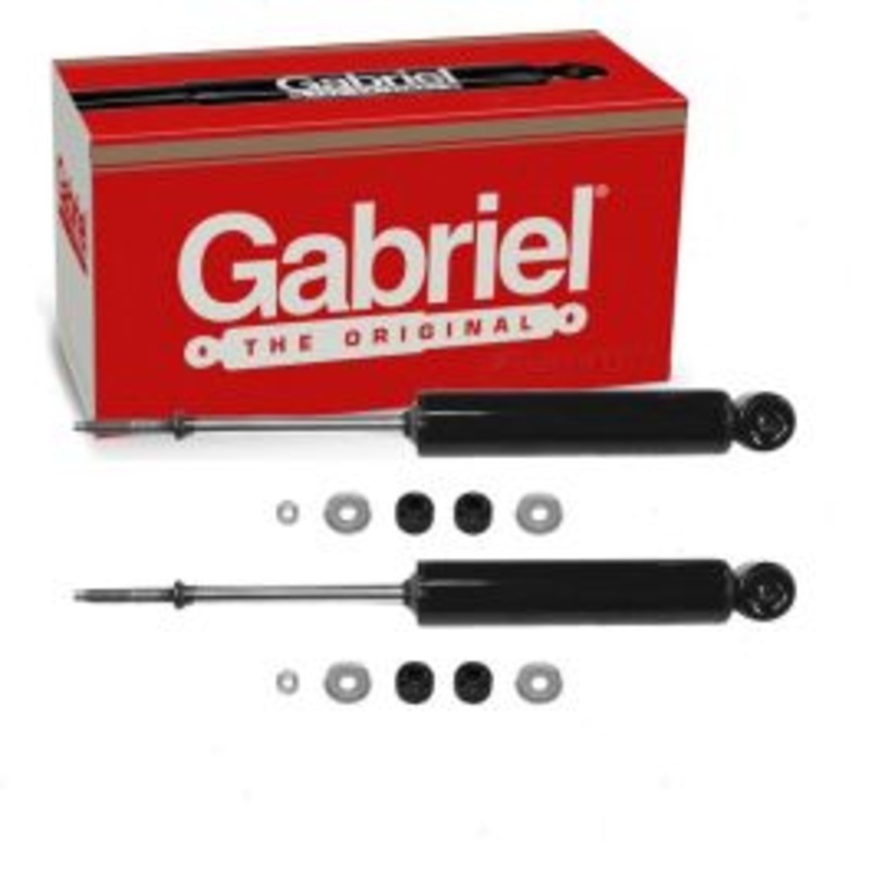 2 pc Gabriel ProGuard 61508 Shock Absorbers