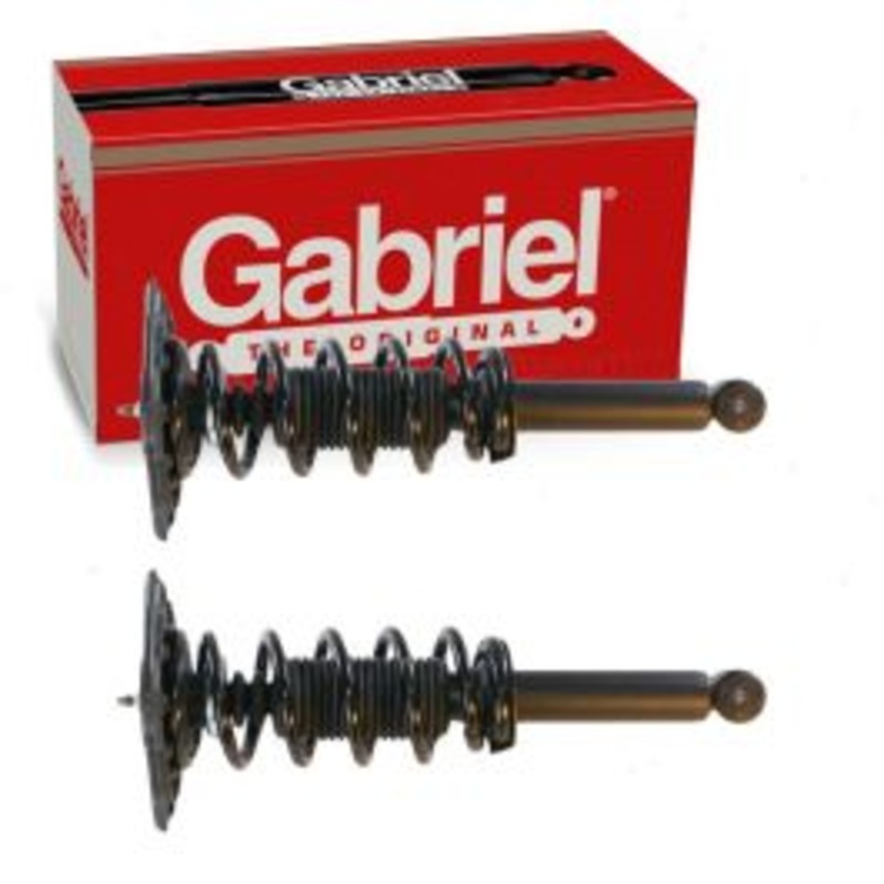 2 pc Gabriel ReadyMount G57036 Suspension Strut & Coil Springs