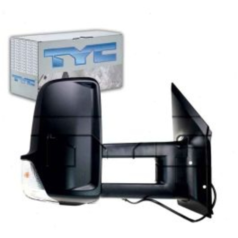 TYC 8420021 Door Mirror