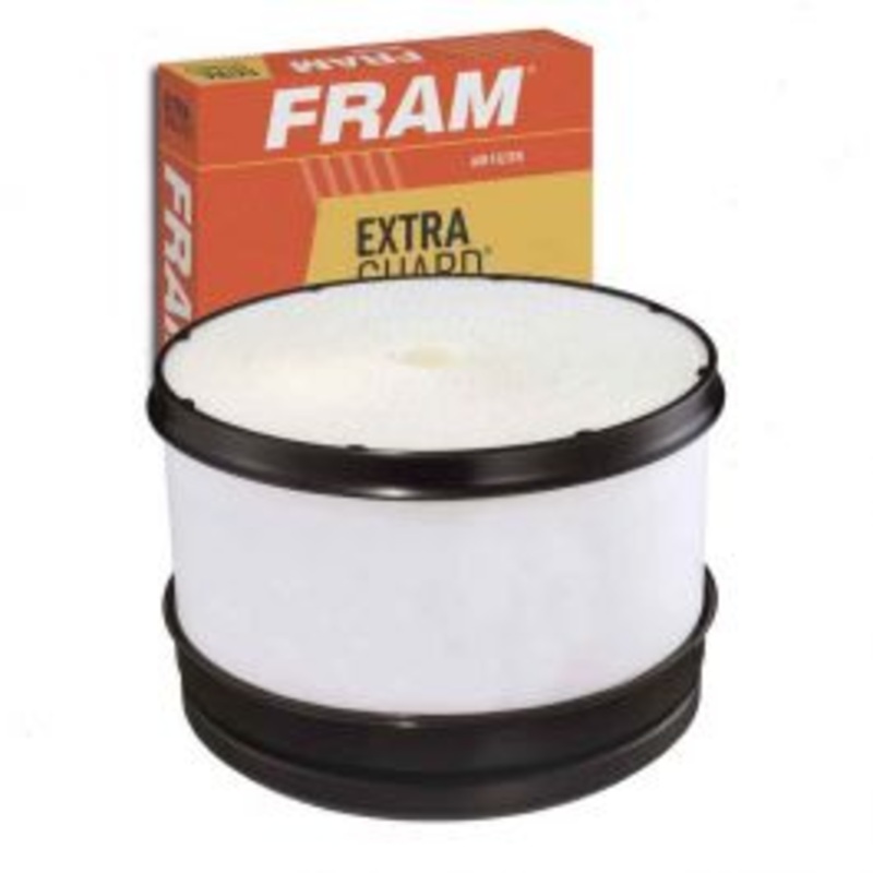 FRAM Extra Guard CA10161 Air Filter