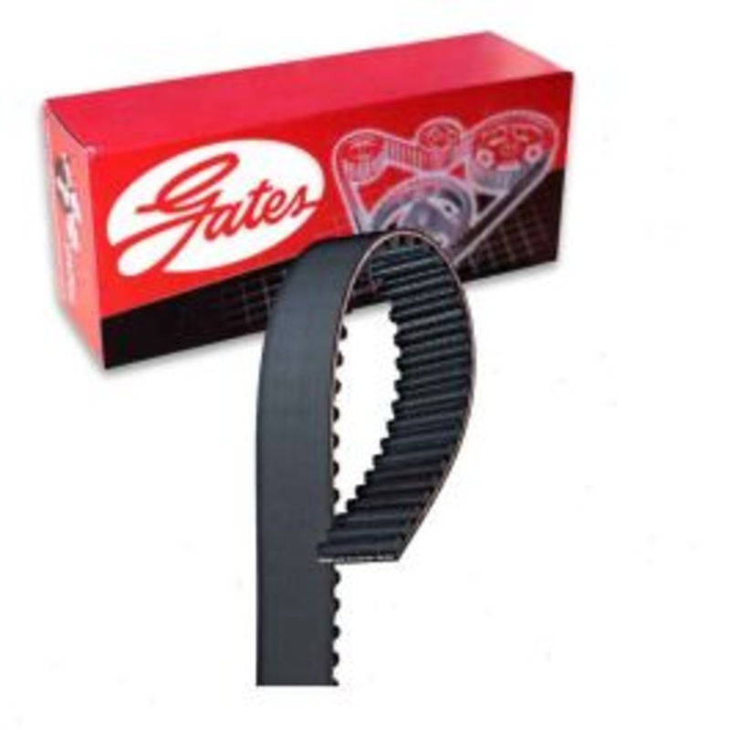 Gates T251 Engine Timing Belt
