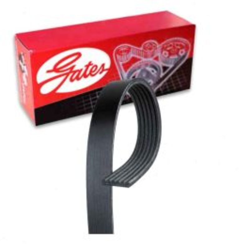 Gates Micro-V Serpentine Belt for 2019 Lexus ES350 3.5L V6