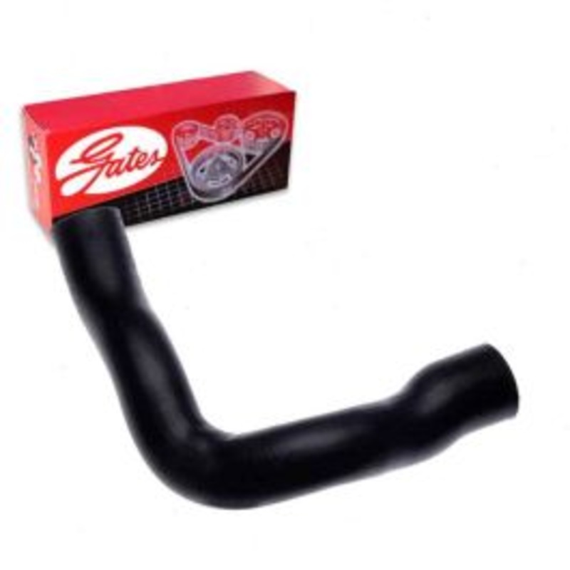 Gates Lower Radiator Coolant Hose for 1980-1983 Ford F-100 4.9L L6