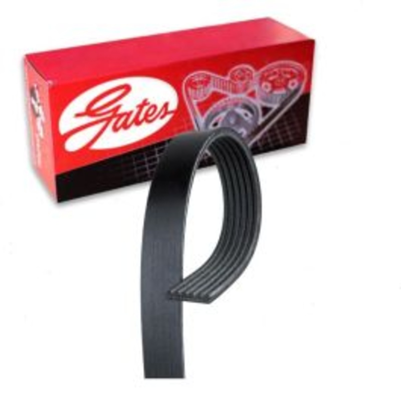 Gates Micro-V Serpentine Belt for 1997-2004 Ford F-150 4.2L 4.6L 5.4L V6 V8