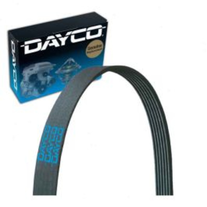 Dayco 5120843 Serpentine Belt