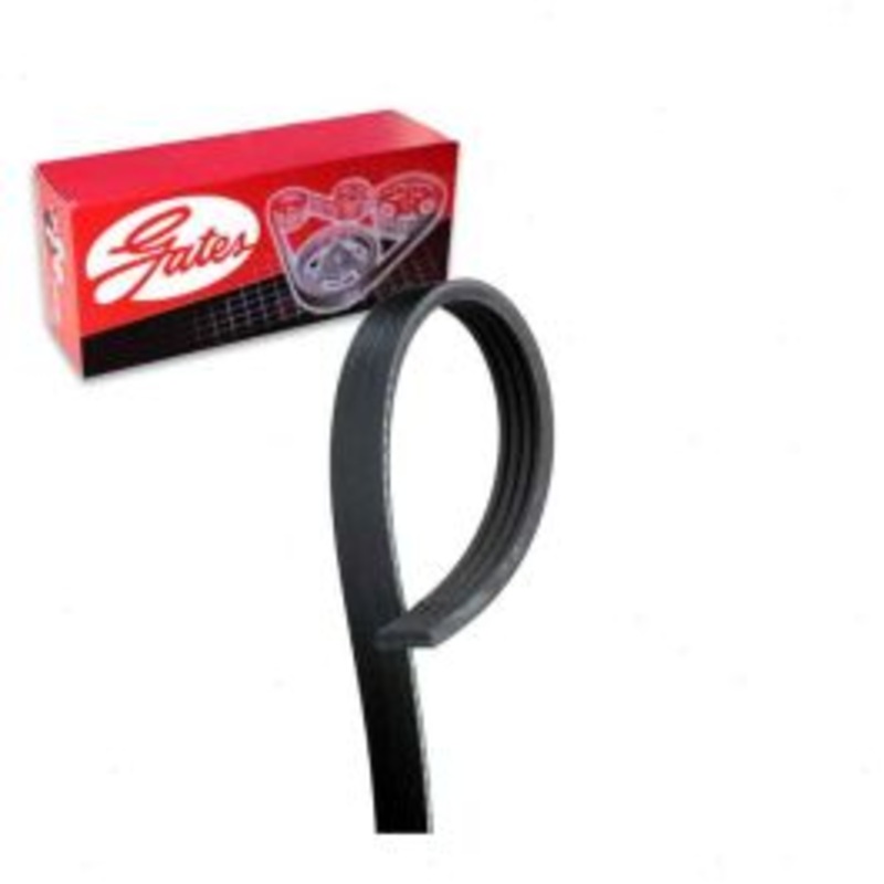 Gates Micro-V K040340 Serpentine Belt
