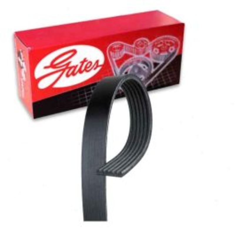 Gates Micro-V Serpentine Belt for 2000-2007 Dodge Dakota 3.7L 4.7L V6 V8