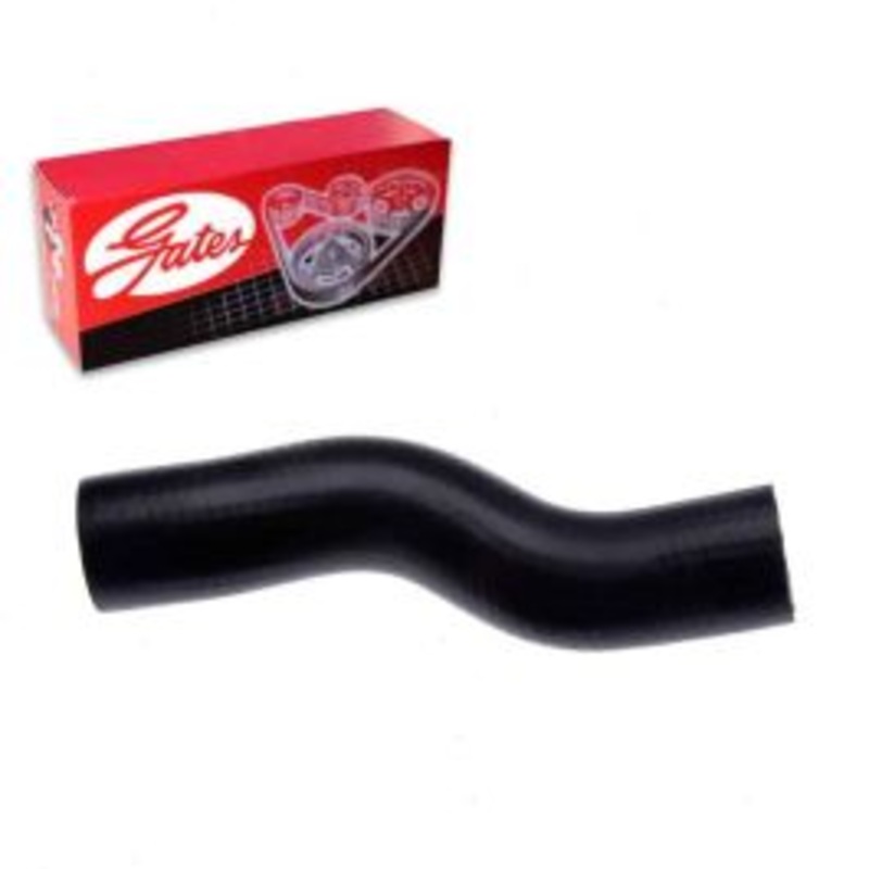 Gates Lower Pipe To Radiator Radiator Coolant Hose for 1974-1976 Mercedes-Benz 280C 2.8L L6