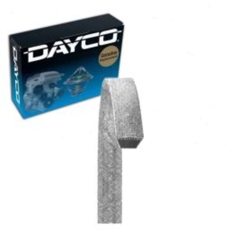 Dayco L4101 Accessory Drive Belt