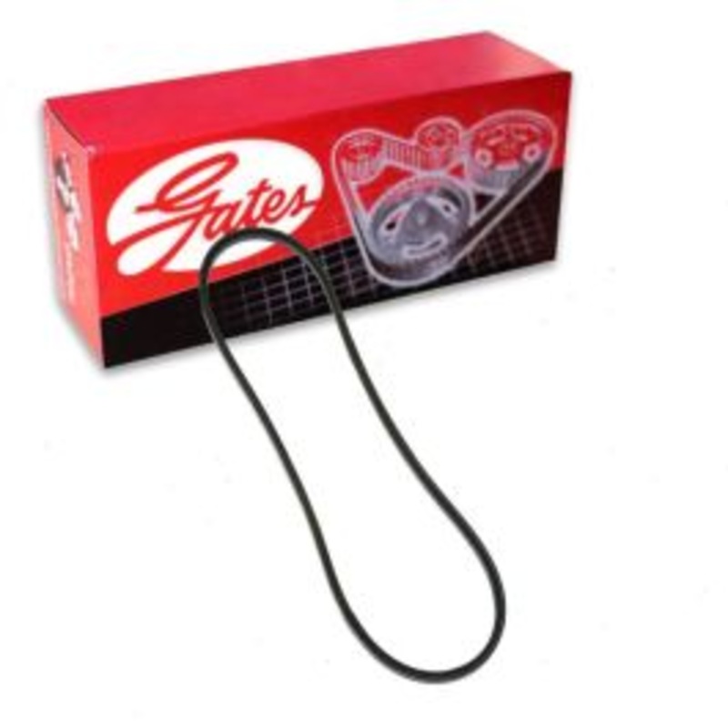 Gates 5742 Accessory Drive Belt