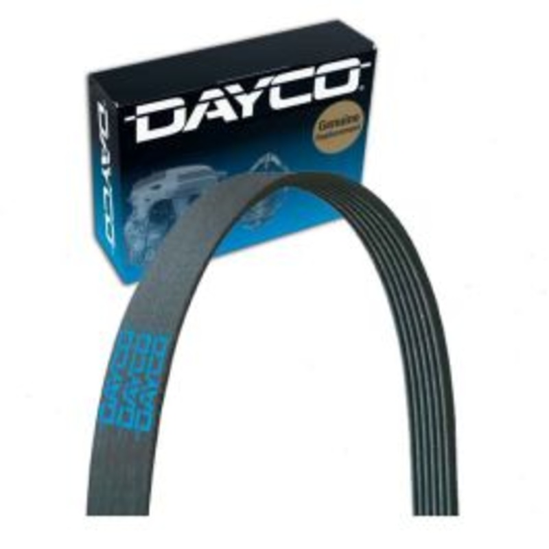 Dayco Main Drive Serpentine Belt for 2018-2019 BMW X6 3.0L L6